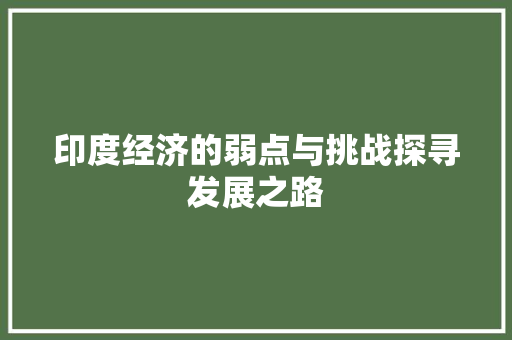 印度经济的弱点与挑战探寻发展之路 印度经济的弱点与挑战探寻发展之路