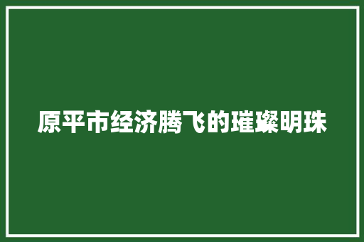 原平市经济腾飞的璀璨明珠 原平市经济腾飞的璀璨明珠