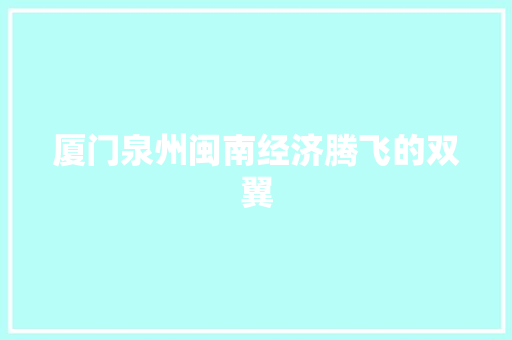 厦门泉州闽南经济腾飞的双翼 厦门泉州闽南经济腾飞的双翼