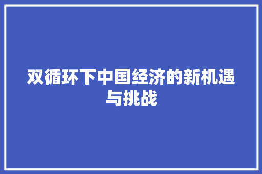 双循环下中国经济的新机遇与挑战 双循环下中国经济的新机遇与挑战