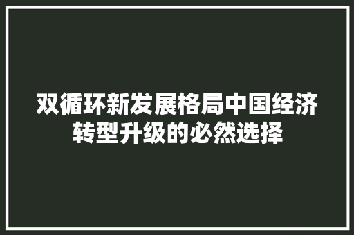 双循环新发展格局中国经济转型升级的必然选择 双循环新发展格局中国经济转型升级的必然选择