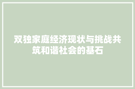 双独家庭经济现状与挑战共筑和谐社会的基石 双独家庭经济现状与挑战共筑和谐社会的基石