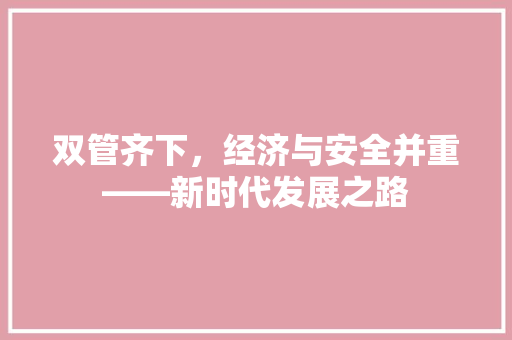 双管齐下,经济与安全并重——新时代发展之路 双管齐下,经济与安全并重——新时代发展之路