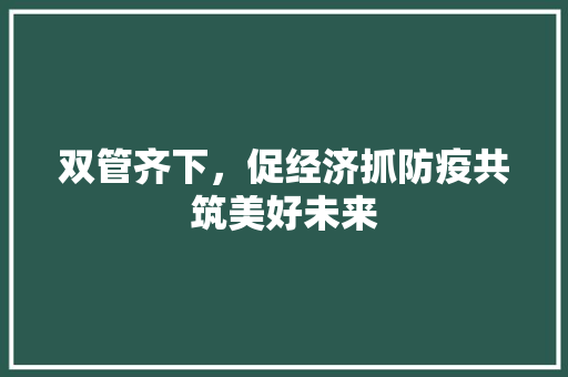 双管齐下,促经济抓防疫共筑美好未来 双管齐下,促经济抓防疫共筑美好未来