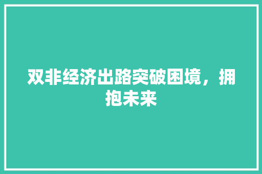 双非经济出路突破困境,拥抱未来 双非经济出路突破困境,拥抱未来