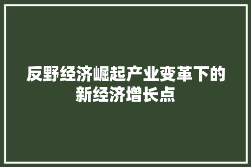 反野经济崛起产业变革下的新经济增长点 反野经济崛起产业变革下的新经济增长点