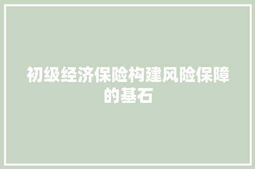 初级经济保险构建风险保障的基石 初级经济保险构建风险保障的基石