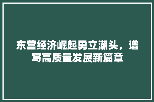 东营经济崛起勇立潮头,谱写高质量发展新篇章 东营经济崛起勇立潮头,谱写高质量发展新篇章