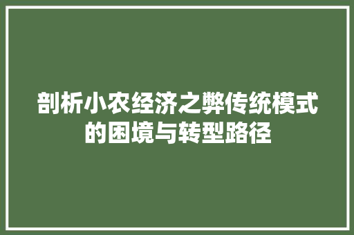 剖析小农经济之弊传统模式的困境与转型路径 剖析小农经济之弊传统模式的困境与转型路径