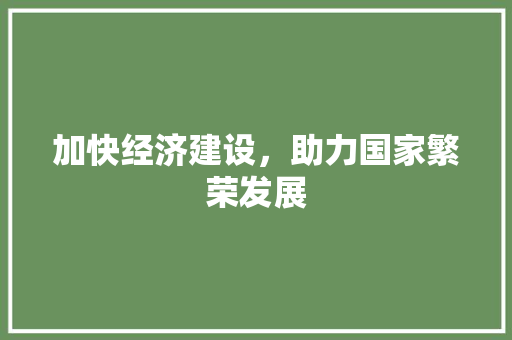 加快经济建设,助力国家繁荣发展 加快经济建设,助力国家繁荣发展
