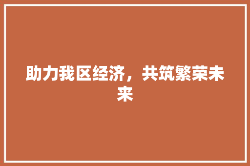 助力我区经济,共筑繁荣未来 助力我区经济,共筑繁荣未来