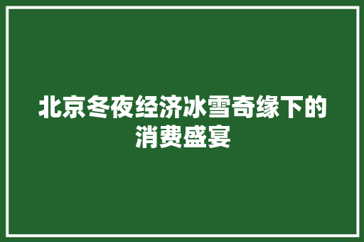 北京冬夜经济冰雪奇缘下的消费盛宴 北京冬夜经济冰雪奇缘下的消费盛宴