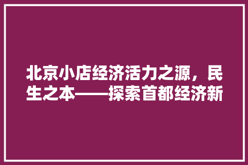 北京小店经济活力之源，民生之本——探索首都经济新亮点