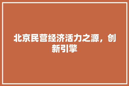北京民营经济活力之源,创新引擎 北京民营经济活力之源,创新引擎
