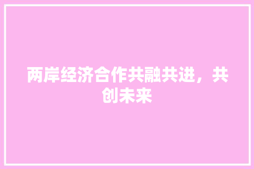 两岸经济合作共融共进,共创未来 两岸经济合作共融共进,共创未来