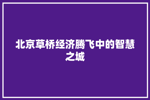 北京草桥经济腾飞中的智慧之城 北京草桥经济腾飞中的智慧之城