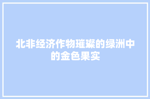 北非经济作物璀璨的绿洲中的金色果实 北非经济作物璀璨的绿洲中的金色果实