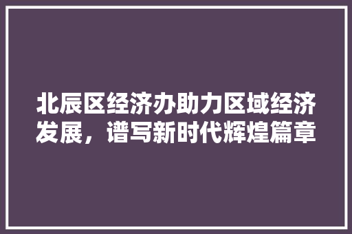 北辰区经济办助力区域经济发展,谱写新时代辉煌篇章 北辰区经济办助力区域经济发展,谱写新时代辉煌篇章