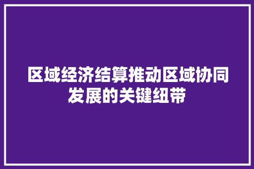 区域经济结算推动区域协同发展的关键纽带