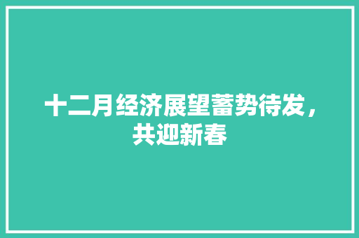 十二月经济展望蓄势待发,共迎新春 十二月经济展望蓄势待发,共迎新春