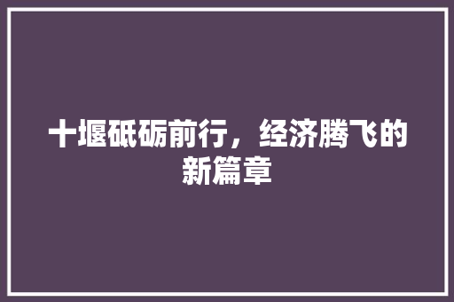 十堰砥砺前行,经济腾飞的新篇章 十堰砥砺前行,经济腾飞的新篇章