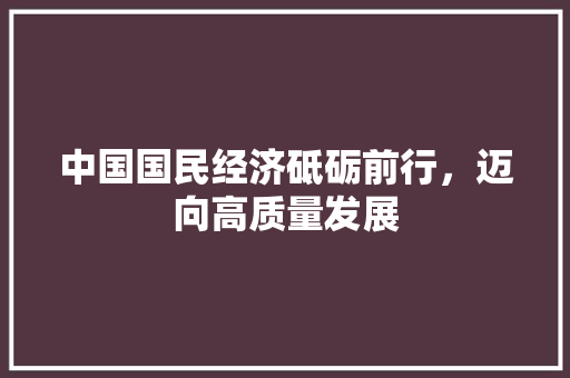 中国国民经济砥砺前行,迈向高质量发展 中国国民经济砥砺前行,迈向高质量发展
