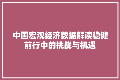 中国宏观经济数据解读稳健前行中的挑战与机遇 中国宏观经济数据解读稳健前行中的挑战与机遇