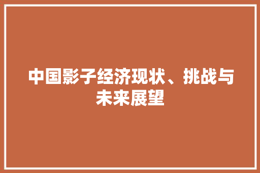 中国影子经济现状、挑战与未来展望 中国影子经济现状、挑战与未来展望