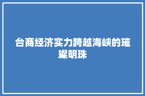 台商经济实力跨越海峡的璀璨明珠 台商经济实力跨越海峡的璀璨明珠