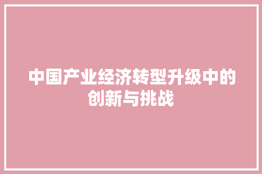 中国产业经济转型升级中的创新与挑战 中国产业经济转型升级中的创新与挑战