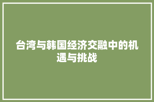 台湾与韩国经济交融中的机遇与挑战 台湾与韩国经济交融中的机遇与挑战