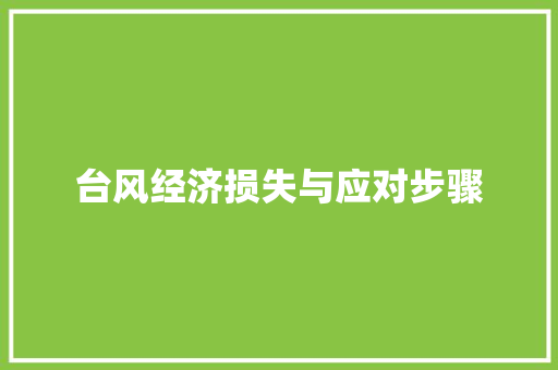 台风经济损失与应对步骤 台风经济损失与应对步骤