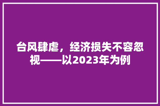 台风肆虐,经济损失不容忽视——以2023年为例 台风肆虐,经济损失不容忽视——以2023年为例