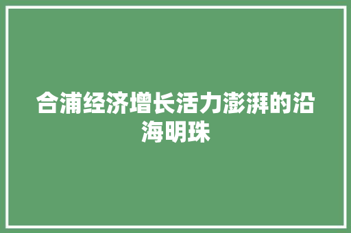 合浦经济增长活力澎湃的沿海明珠