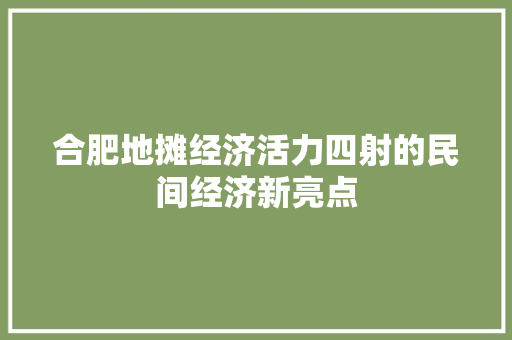 合肥地摊经济活力四射的民间经济新亮点 合肥地摊经济活力四射的民间经济新亮点