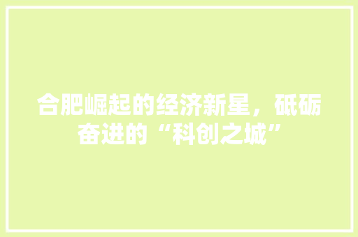合肥崛起的经济新星,砥砺奋进的“科创之城” 合肥崛起的经济新星,砥砺奋进的“科创之城”