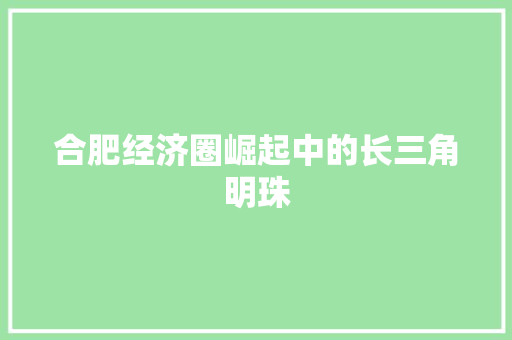 合肥经济圈崛起中的长三角明珠 合肥经济圈崛起中的长三角明珠