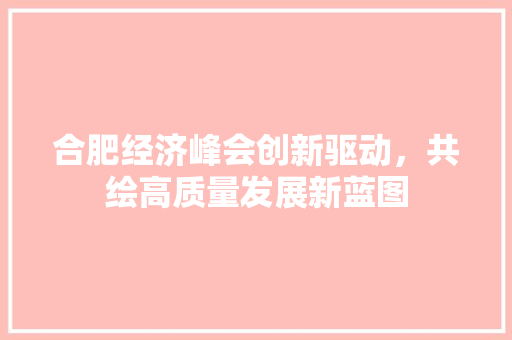 合肥经济峰会创新驱动,共绘高质量发展新蓝图 合肥经济峰会创新驱动,共绘高质量发展新蓝图