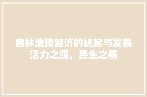 吉林地摊经济的崛起与发展活力之源,民生之基 吉林地摊经济的崛起与发展活力之源,民生之基