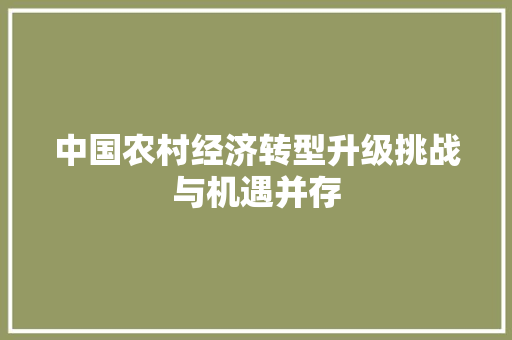 中国农村经济转型升级挑战与机遇并存 中国农村经济转型升级挑战与机遇并存