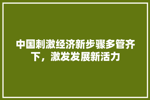 中国刺激经济新步骤多管齐下,激发发展新活力 中国刺激经济新步骤多管齐下,激发发展新活力