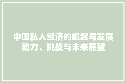 中国私人经济的崛起与发展动力、挑战与未来展望 中国私人经济的崛起与发展动力、挑战与未来展望
