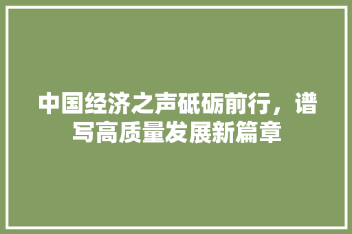 中国经济之声砥砺前行,谱写高质量发展新篇章 中国经济之声砥砺前行,谱写高质量发展新篇章