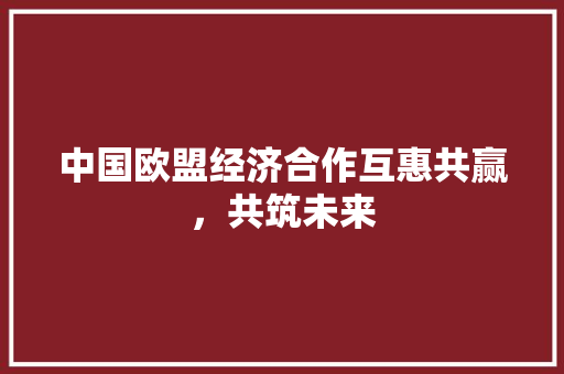 中国欧盟经济合作互惠共赢,共筑未来 中国欧盟经济合作互惠共赢,共筑未来