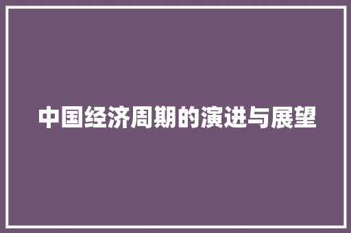 中国经济周期的演进与展望 中国经济周期的演进与展望