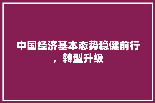 中国经济基本态势稳健前行,转型升级 中国经济基本态势稳健前行,转型升级