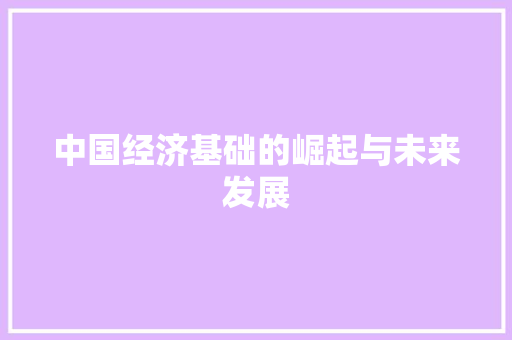 中国经济基础的崛起与未来发展 中国经济基础的崛起与未来发展