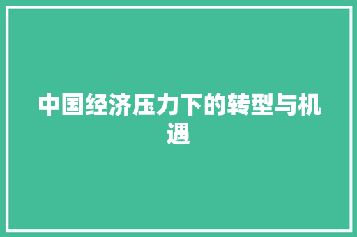 中国经济压力下的转型与机遇 中国经济压力下的转型与机遇