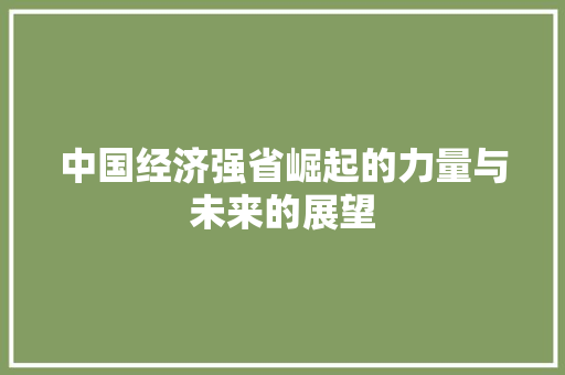 中国经济强省崛起的力量与未来的展望 中国经济强省崛起的力量与未来的展望