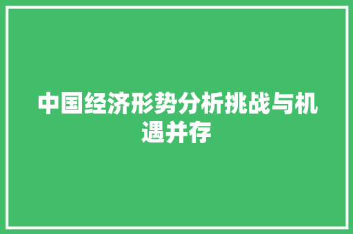 中国经济形势分析挑战与机遇并存 中国经济形势分析挑战与机遇并存